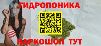 каннабис Будённовск